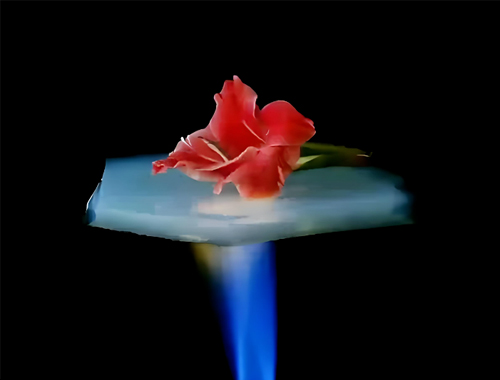 把握“十五五”节能新机遇：鼎业集团携无机阻热材料，，，，邀工业伙伴共赴节能降碳新赛道